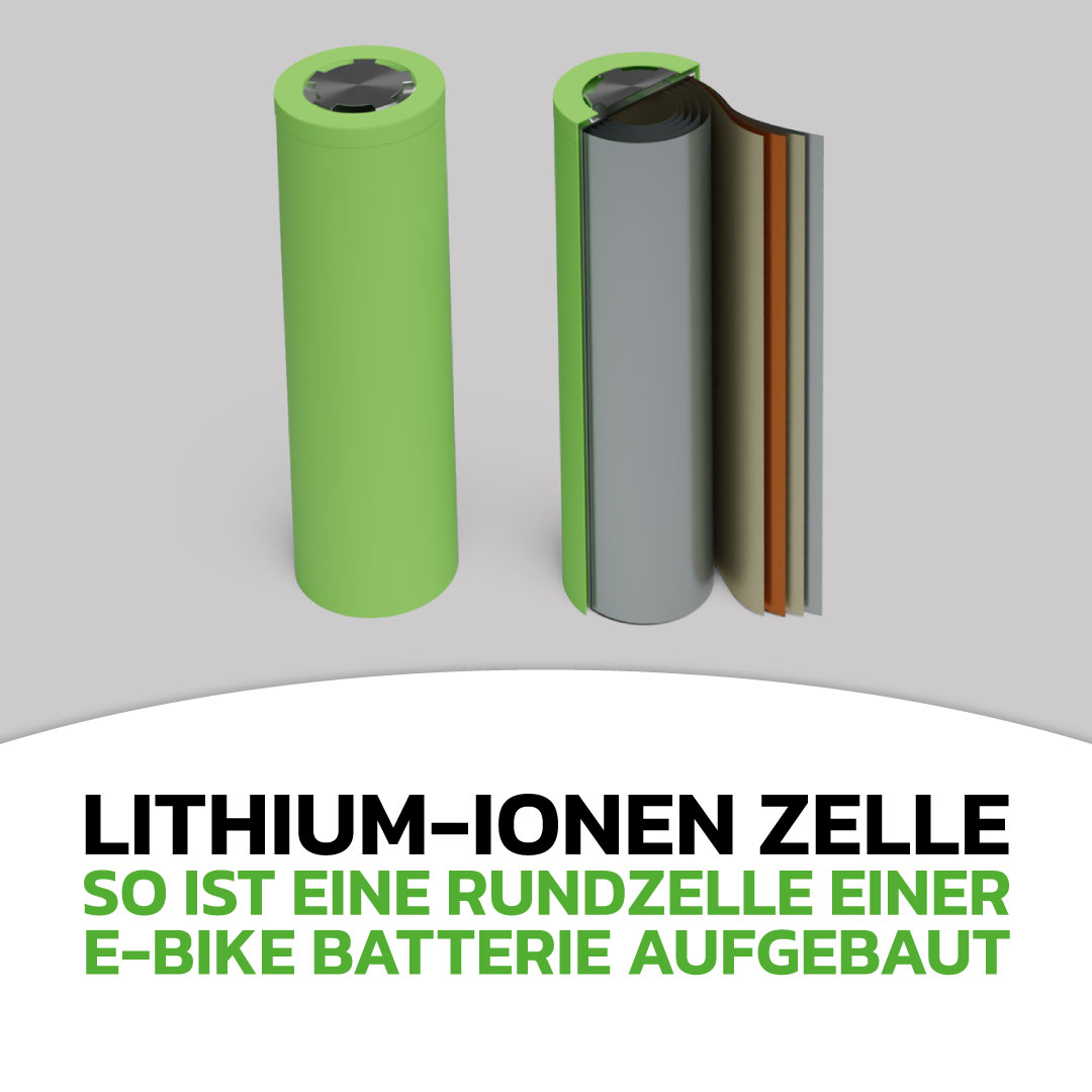 aufbau-einer-zelle